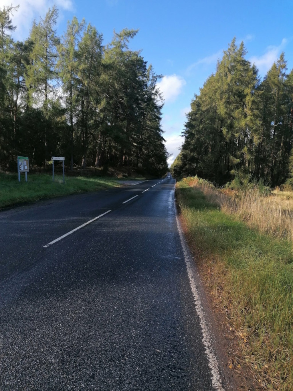 Long, dark asphalt road stretching into the distance. It's a two-lane road with a single white line marking the center. The road is slightly wet, creating subtle sheen. On the left side of the road, there's a small, partially visible information board or signpost nestled amongst tall, green grass. This suggests a roadside stop or trail head. There are no vehicles or people present in the image. The road is bordered on both sides by dense coniferous forests. On the left, the trees are slightly closer to the road creating a lush, dark green wall. On the right, the forest is a bit further away with a strip of sun-kissed tall grass in between the road and the trees, creating a contrast in color and texture. The background reveals a clear blue sky, only slightly clouded, giving a sense of depth and space.