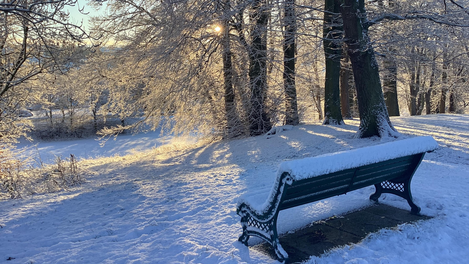 A snow-covered park bench sitting in a snowy park. The sun is shining through the bare, snow-laden branches of trees in the background, casting long shadows on the snow. The scene is peaceful and serene, evoking a feeling of quiet winter beauty.
