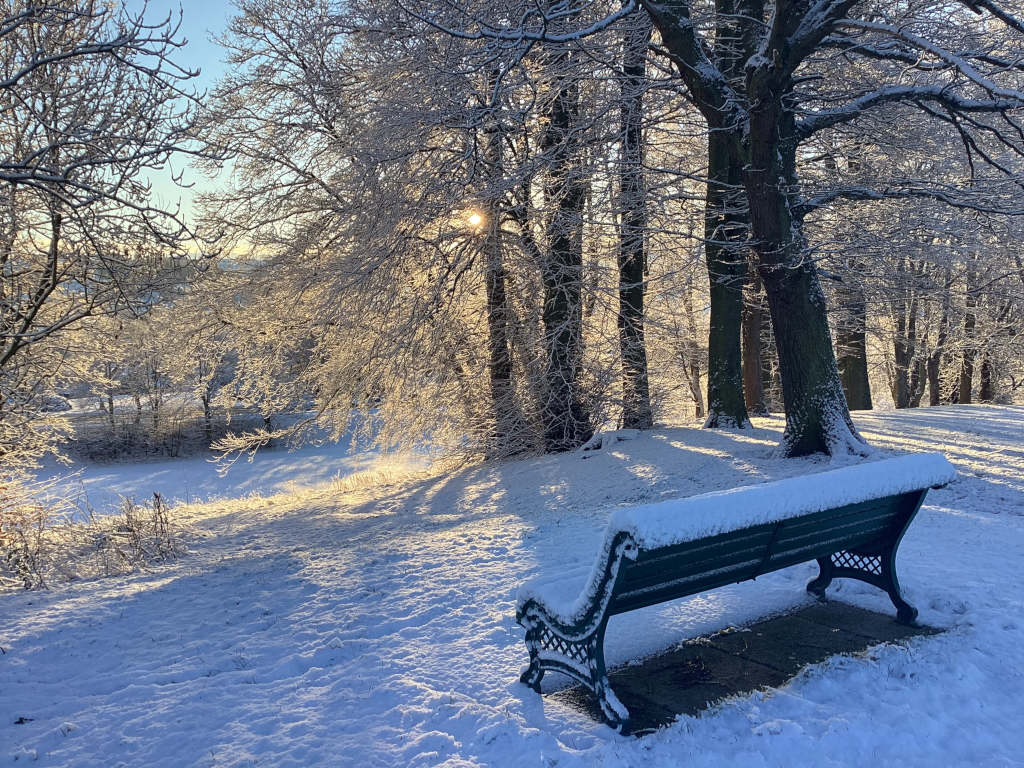 Snow-covered park bench sitting in a snowy park. The sun is shining through the bare, snow-laden branches of trees in the background, casting long shadows on the snow. The scene is peaceful and serene, evoking a feeling of quiet winter beauty.