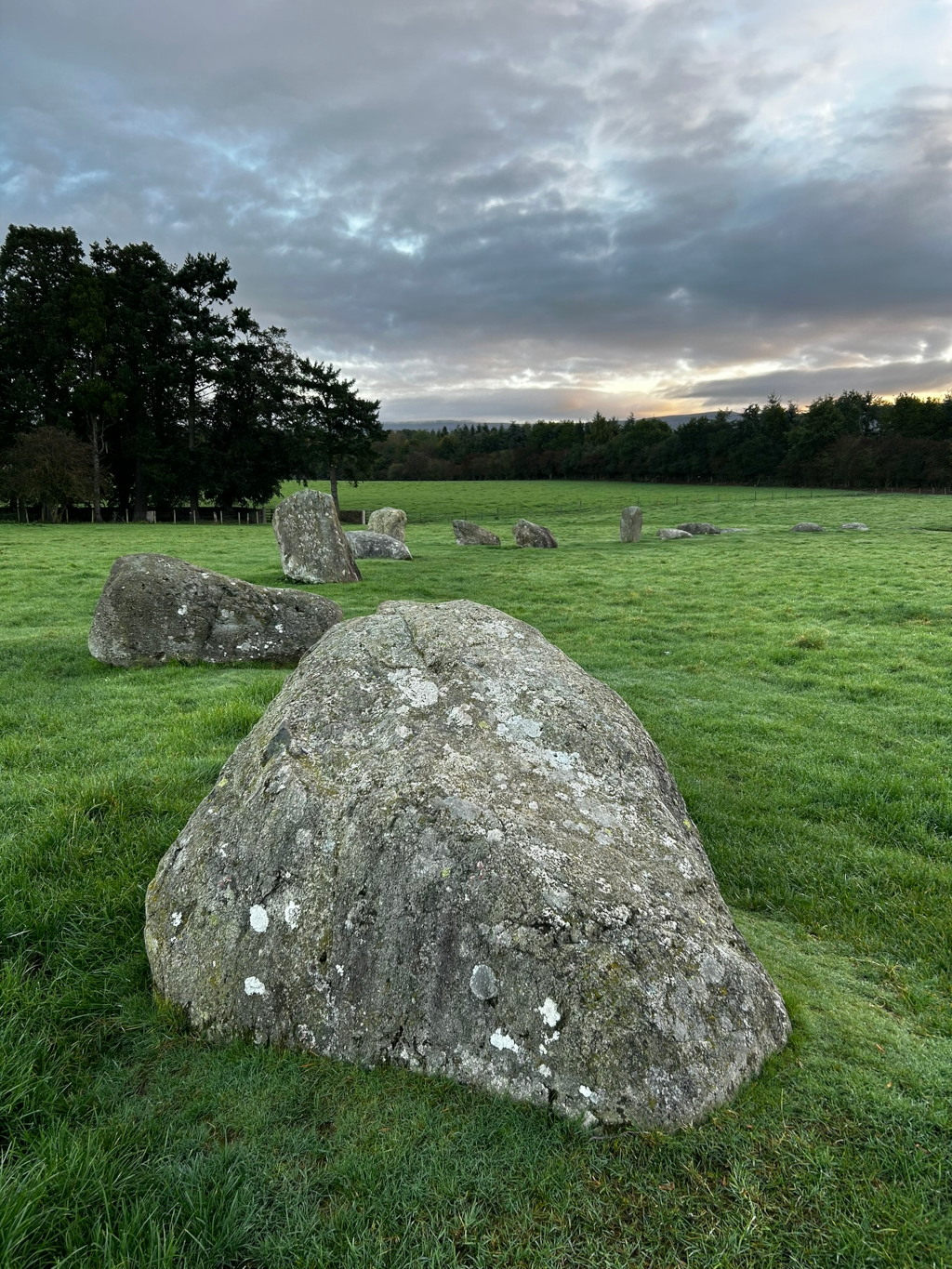 Stone circle in a grassy field at dawn. Several large, moss-covered stones are arranged in a roughly circular pattern. The sky is cloudy, with soft light hinting at either sunrise or sunset. A dark line of trees forms a backdrop to the scene.