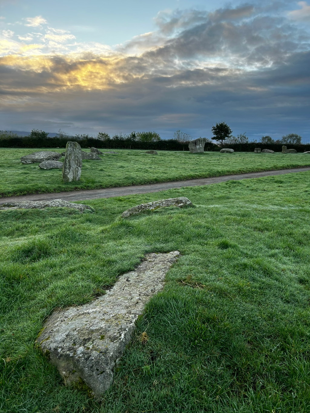Grassy field at dawn, with a number of large stones scattered across it. These stones appear to be remnants of a stone circle or similar ancient monument. A dirt track runs through the field. The sky is dramatic and cloudy with hints of golden light breaking through.