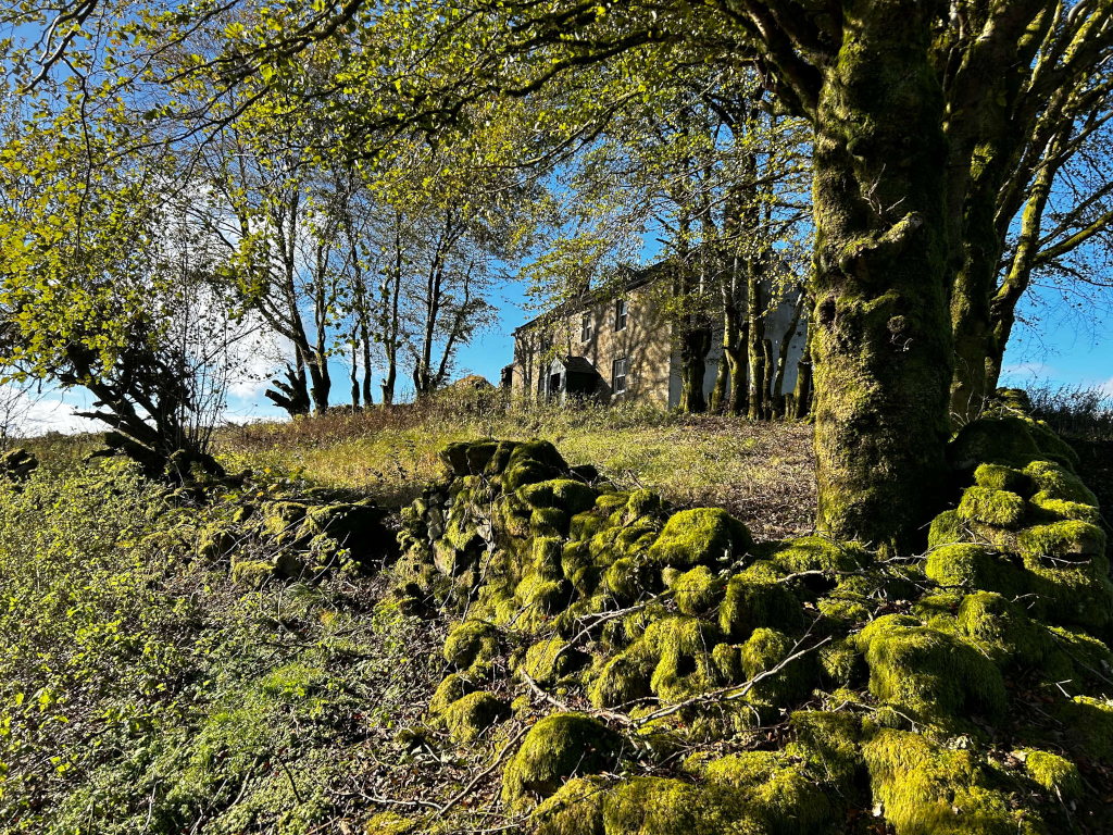 Stone wall covered in vibrant green moss, situated in the foreground. Behind the wall, a cluster of trees partially obscures a stone house, which appears somewhat aged or possibly abandoned. Sunlight filters through the trees, illuminating parts of the scene.