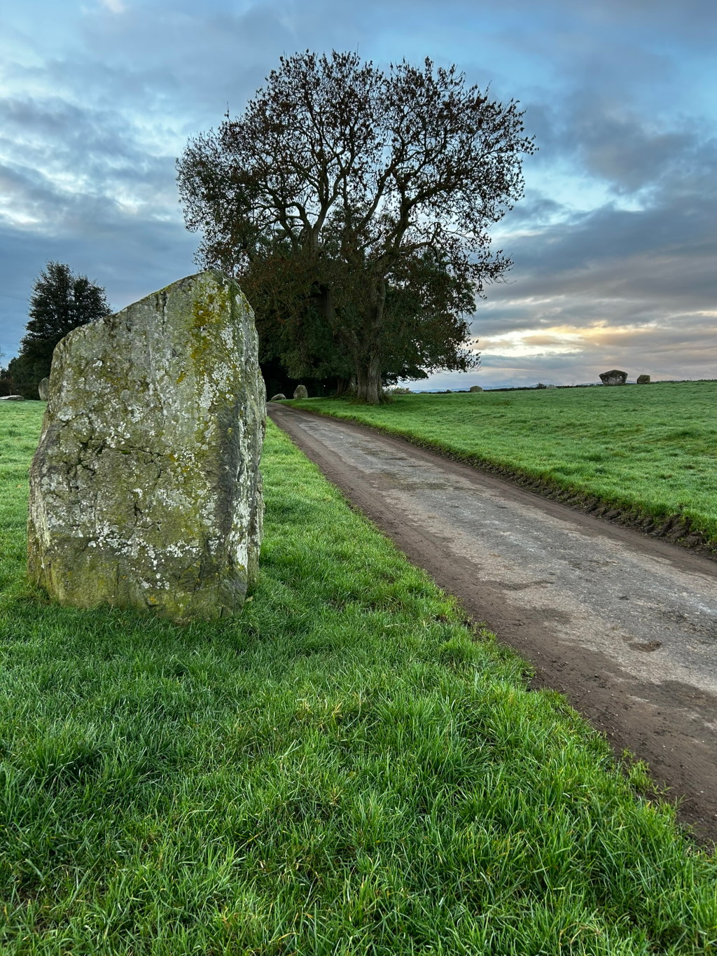 Country lane bordered by lush green grass.  A large, moss-covered stone sits prominently to the left of the lane, close to the viewer. A leafless tree stands in the middle ground, slightly offset to the right. In the distance, more of these large stones and a softly lit, cloudy sky are visible.