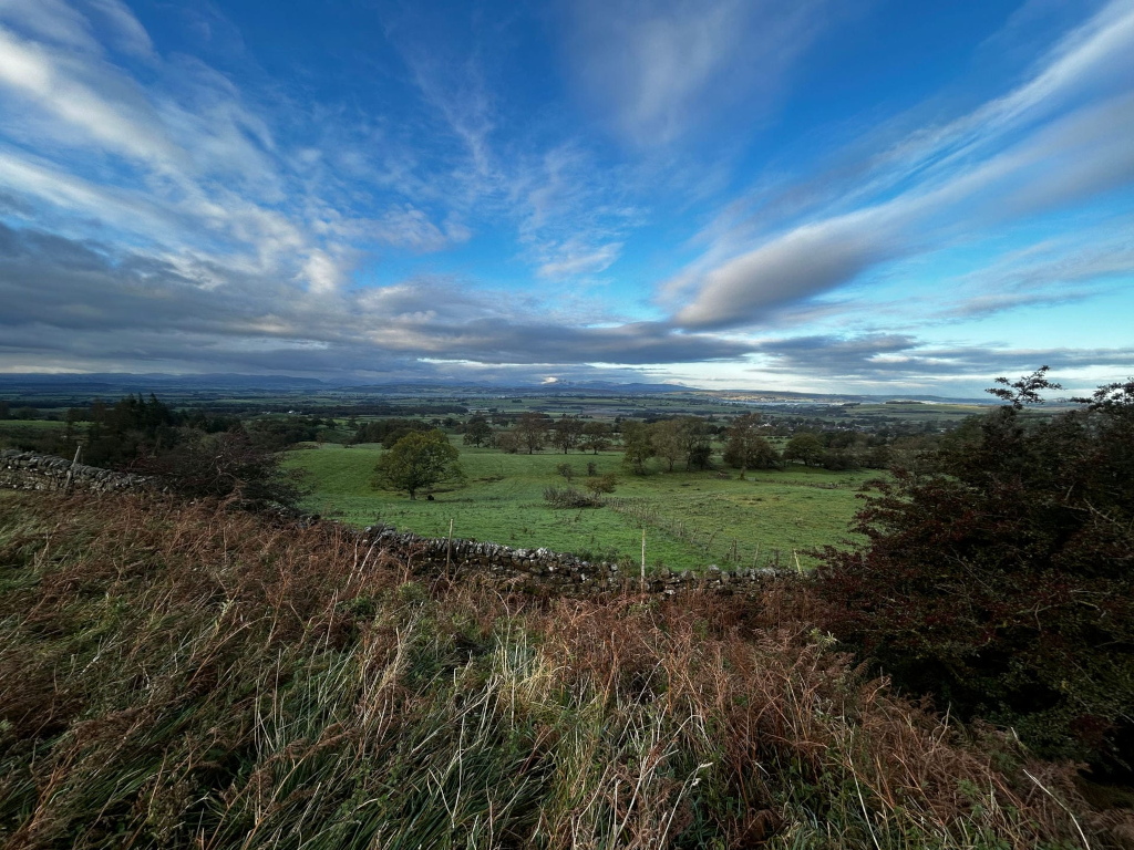 Panoramic view of a serene landscape, possibly in a rural area of the UK. In the foreground, there's a dry, slightly overgrown grassy bank with a low stone wall running horizontally across the middle ground.  Beyond the wall lies a pasture with scattered trees, giving it a slightly uneven, naturally undulating appearance. The background shows a broad, flat valley stretching to the horizon, under a dramatic sky filled with sweeping, windswept clouds that dominate the upper two-thirds of the image, creating a sense of space and movement.  The overall impression is one of quiet, expansive beauty, perhaps evoking a feeling of peacefulness and the passage of time. There is a subtle suggestion of distance and layers to the landscape.