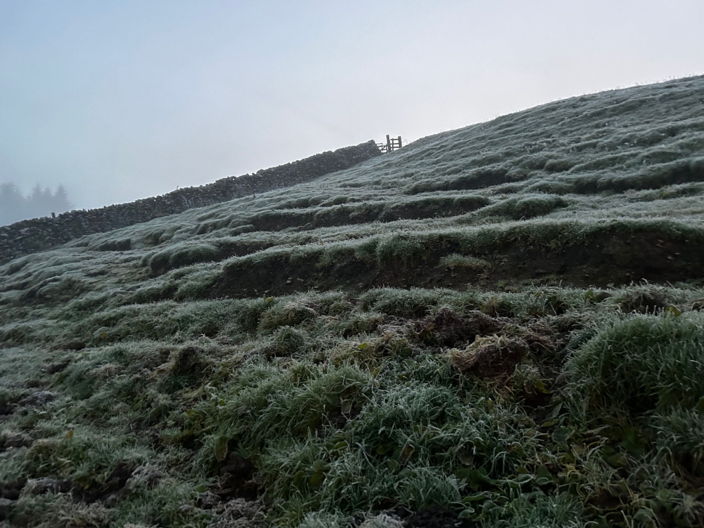 Frost-covered hillside. A low stone wall runs diagonally across the lower portion of the image, leading to a small gate near the top. The grass is heavily frosted, giving it a silvery-green appearance. The overall mood is one of quiet, cold serenity. The background is a hazy, light-blue sky.
