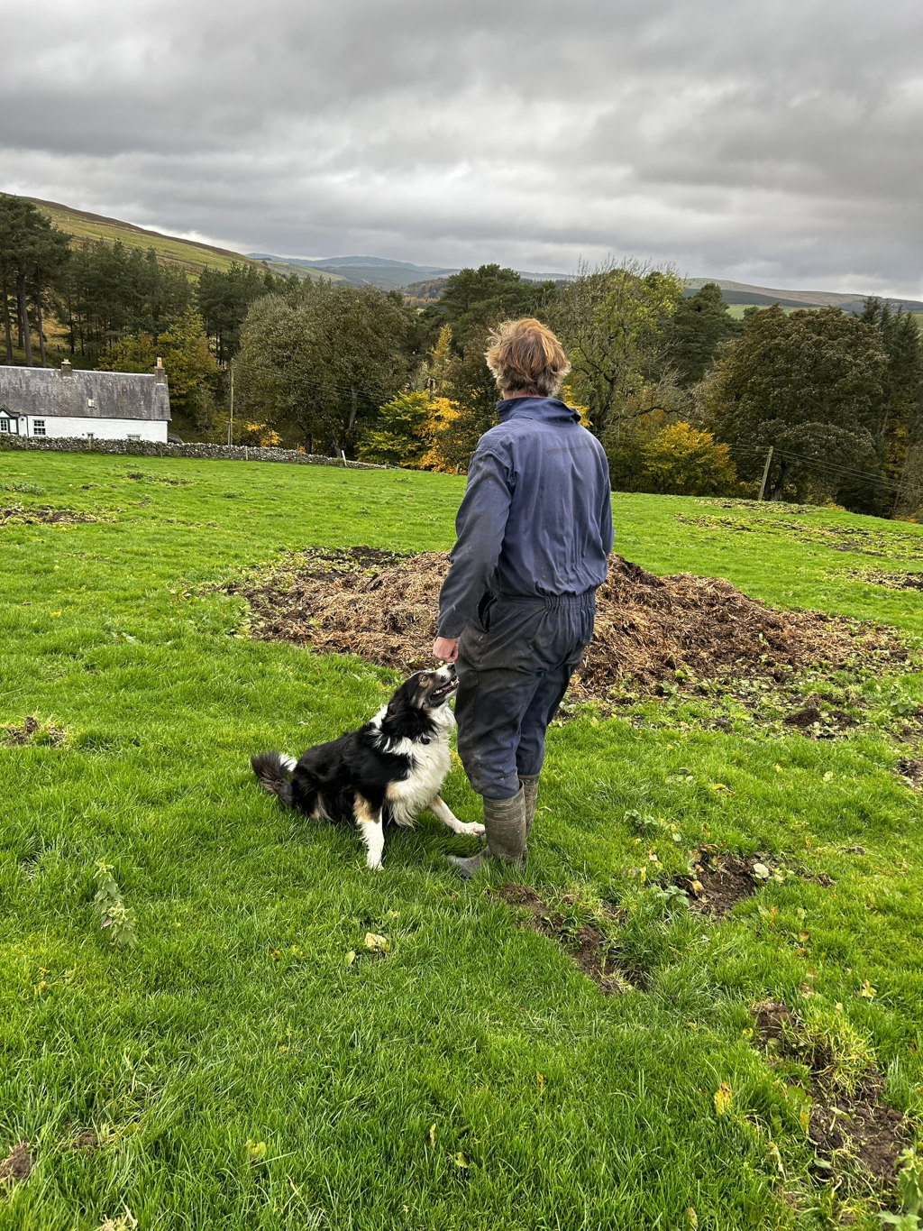 Charlie seen from behind, standing in a grassy field with his Border Collie. The dog is sitting and looking up at him. In the background is a white farmhouse and rolling hills covered in autumnal trees under a cloudy sky. The overall impression is one of rural life and quiet contemplation.