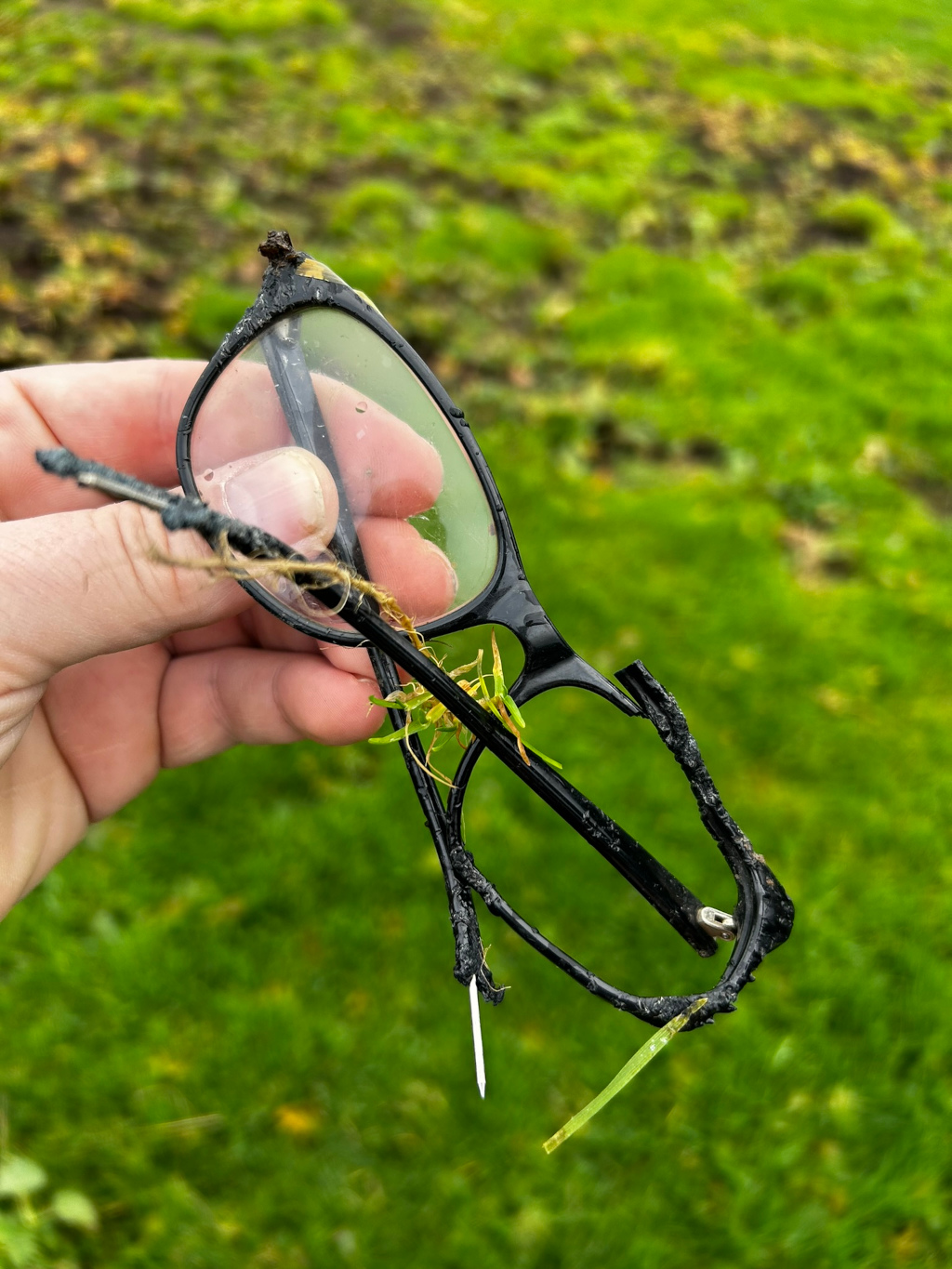 Leonie's hand holding a broken pair of eyeglasses. The frames are black plastic and are severely damaged, with pieces broken off and what looks like burn marks. Bits of grass and debris are clinging to the frame. The background is blurred but shows a green lawn. The overall impression is one of damage and loss.
