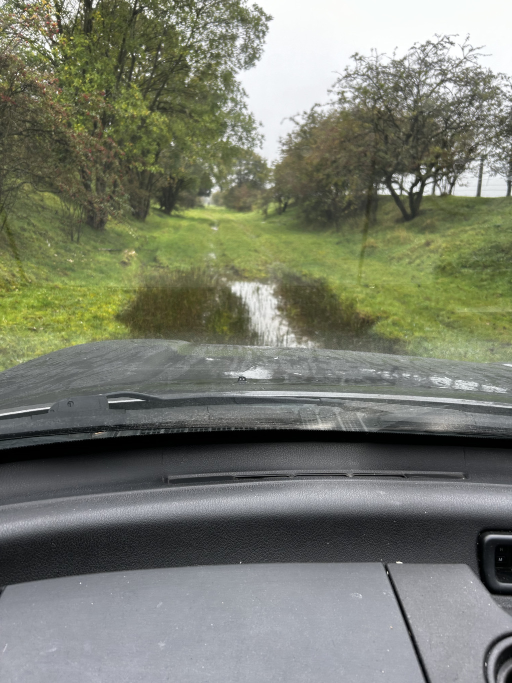 View from inside a vehicle, looking out onto a narrow, grassy track between lines of trees. The track appears damp, with a small puddle visible in the centre. The overall impression is one of a quiet, possibly rural or undeveloped area, on a somewhat overcast day. The car's windshield is dirty.