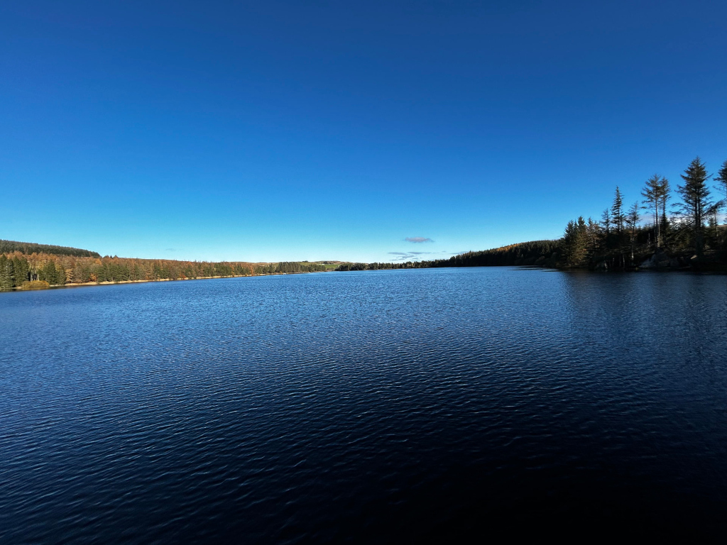Tranquil lake scene under a vibrant blue sky. The lake is calm, with subtle ripples on its dark blue surface. The far shore is lined with dark green evergreen trees, suggesting a forest, with a few hints of autumnal color visible in the foliage. The overall impression is one of serenity and natural beauty.