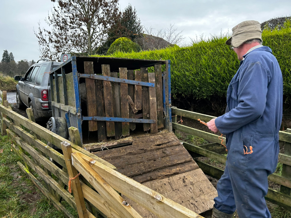 Farmer in overalls guiding a sheep into a trailer attached to a dark-grey Land Rover. The trailer is made of wood and metal, and has a ramp for the sheep to enter. A wooden fence is visible in the foreground. The setting appears to be a rural area.