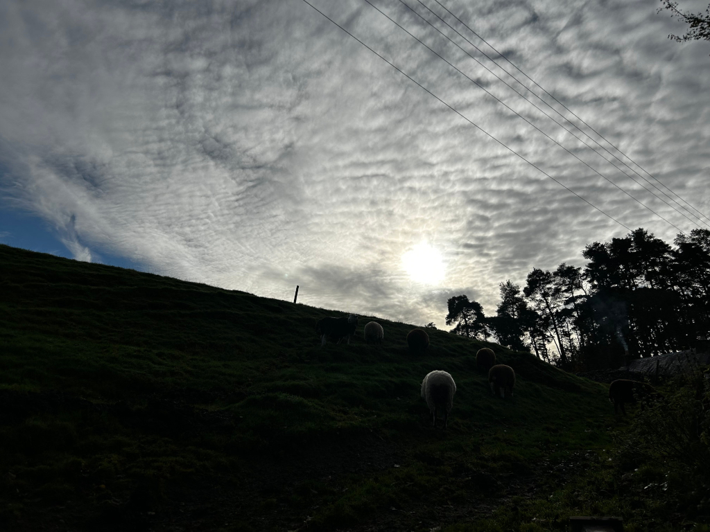 Hillside covered in short grass, with a small flock of sheep silhouetted against a cloudy sky. The sun is partially visible behind the clouds, creating a bright spot in the sky. Power lines cross the upper portion of the image, and a line of dark trees is visible in the background to the right. The overall tone is dark and moody, emphasising the silhouettes of the sheep and the texture of the clouds.