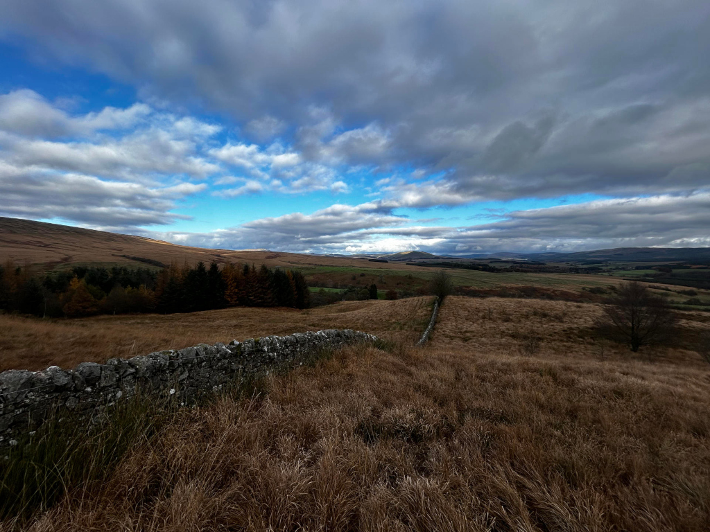 Wide, expansive landscape under a partly cloudy sky. A low stone wall runs diagonally across the foreground, separating a field of tall, dried grasses from a darker area of evergreen trees and rolling hills. The far background showcases more hills under a sky of blue punctuated by fluffy white and gray clouds. The overall impression is one of a serene, rural, and possibly remote location, typical of a highland or moorland scene. The colours are muted earth tones, with the exceptions of the blue sky and darker green of the trees.