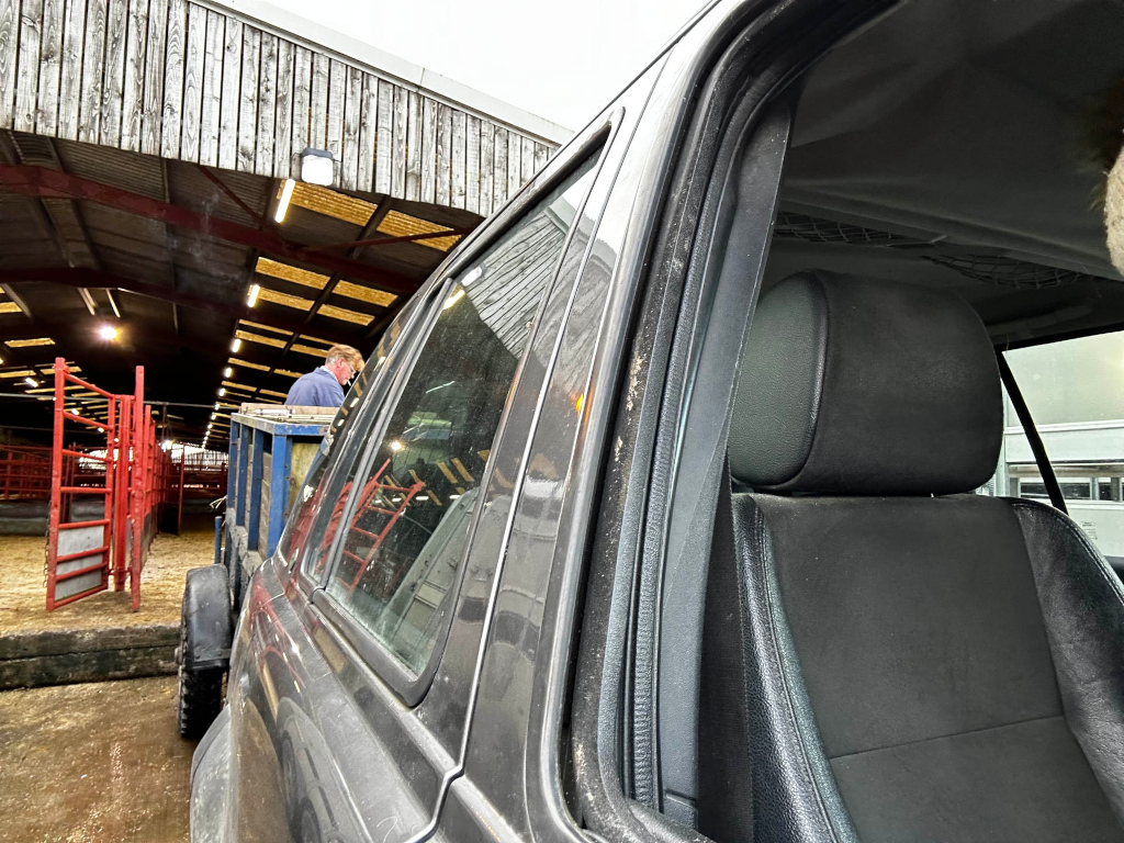 Dark-coloured SUV parked near a livestock loading area inside a barn. A man is visible in the background, appearing to be overseeing the loading of animals onto a trailer. The focus is primarily on the interior of the SUV, specifically on the driver's side seat and window. The overall impression is one of a working day on a farm.