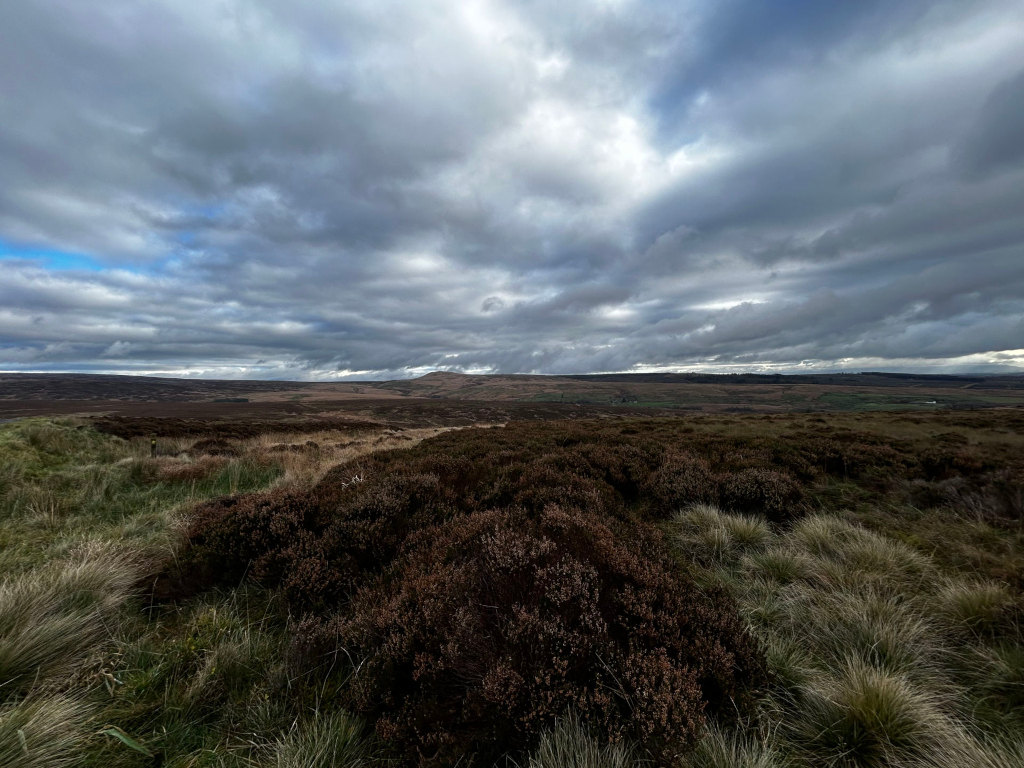 Landscape view of a moorland under a dramatic, cloudy sky. The foreground is dominated by patches of low-lying heather and grasses, leading the eye towards a gently rolling expanse of similar vegetation stretching to a distant, low hill or mountain under a sky filled with dark and light grey clouds.