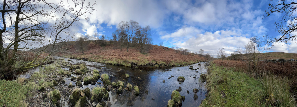 Panoramic view of a calm stream flowing through a landscape of low hills and autumnal vegetation. The stream is relatively shallow, with rocks and patches of green moss visible in the water and along its banks. The hillsides are covered in brown and reddish-brown grasses and ferns, indicating late autumn or early winter. The sky is partly cloudy, with patches of blue. Bare branches of trees are present, adding to the seasonal feel.