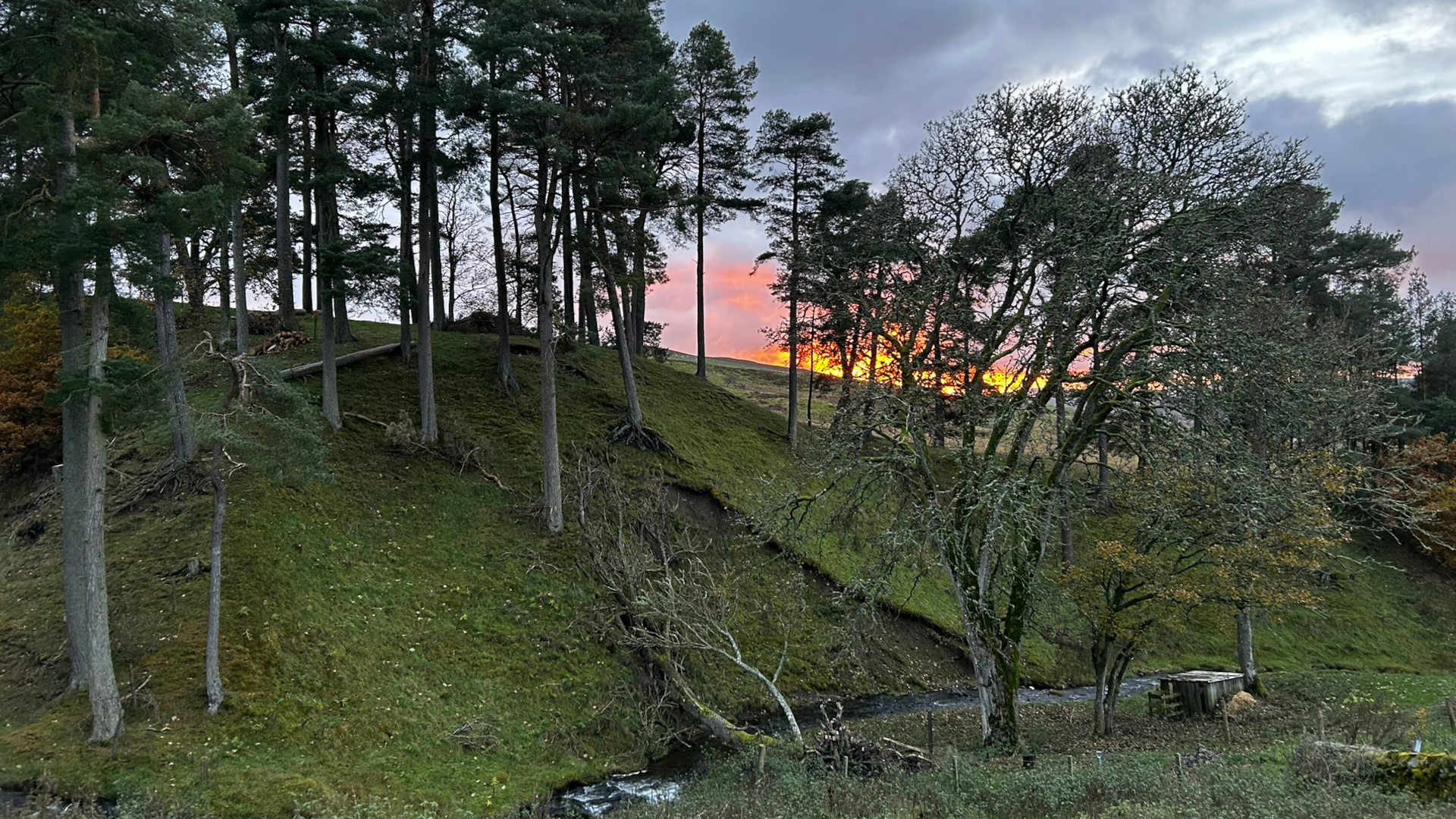 Tranquil landscape at sunset. A small stream flows through the foreground, beside a mossy hillside dotted with deciduous and coniferous trees. A vibrant orange sunset is visible in the distance, peeking through the trees. The overall mood is serene and peaceful, capturing the beauty of nature at the end of the day. A simple wooden structure is visible near the stream, adding a touch of human presence to the otherwise untouched natural setting.