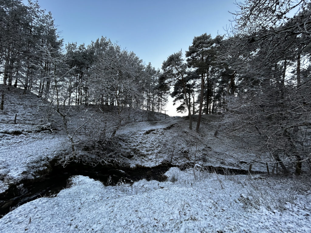 Snow-covered landscape, featuring a small stream running through a wooded area. The trees are mostly bare, with a light dusting of snow on their branches.