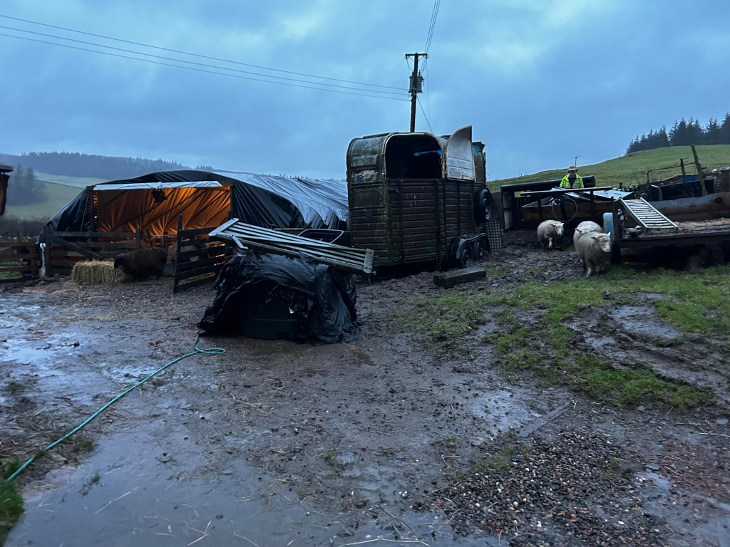 Muddy farmyard scene at dusk or dawn. A large temporary shelter, made of black plastic sheeting, is illuminated from within. Near it are several sheep, an old horse trailer, other farm equipment, and what appears to be a water trough covered in plastic. The overall impression is one of rural life, perhaps during inclement weather, with a focus on the temporary and functional nature of the structures. Charlie is partially visible in the background, seemingly overseeing the scene. The muddy ground emphasises the wet conditions.