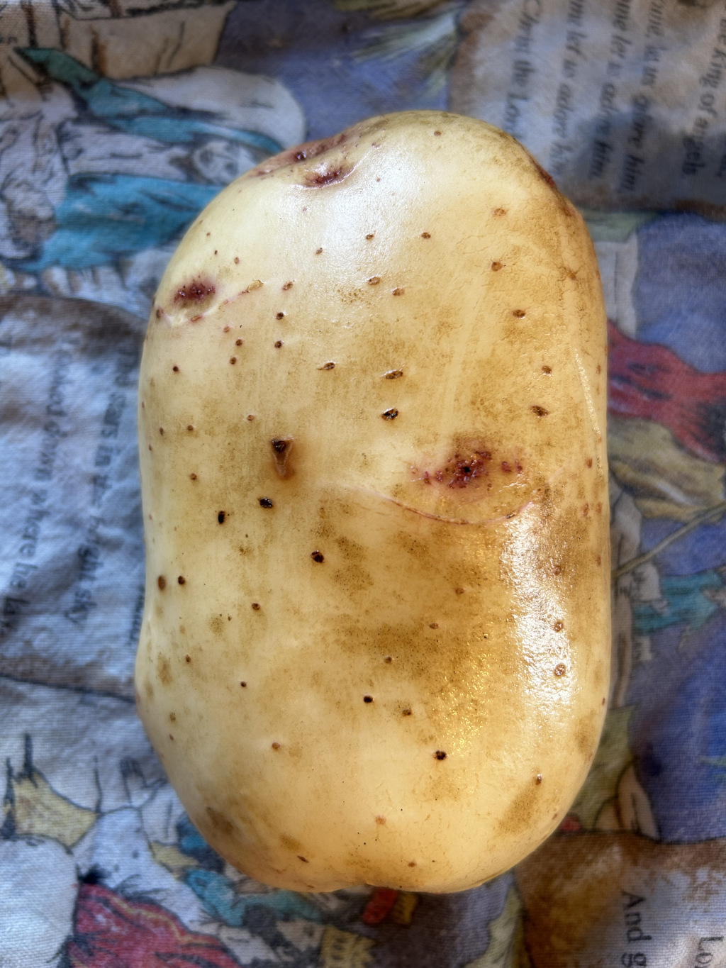 Single, unpeeled potato resting on a patterned cloth. The potato is off-white to pale yellow with numerous small brown spots and blemishes on its surface. There's also a noticeable, slightly darker reddish-brown scuff or cut along its side. The cloth below is colourful with an intricate design that includes text partially visible in a faded style, suggesting an illustrated book cover or similar printed fabric. The overall impression is one of simple, everyday subject matter presented in a straightforward, unadorned way.