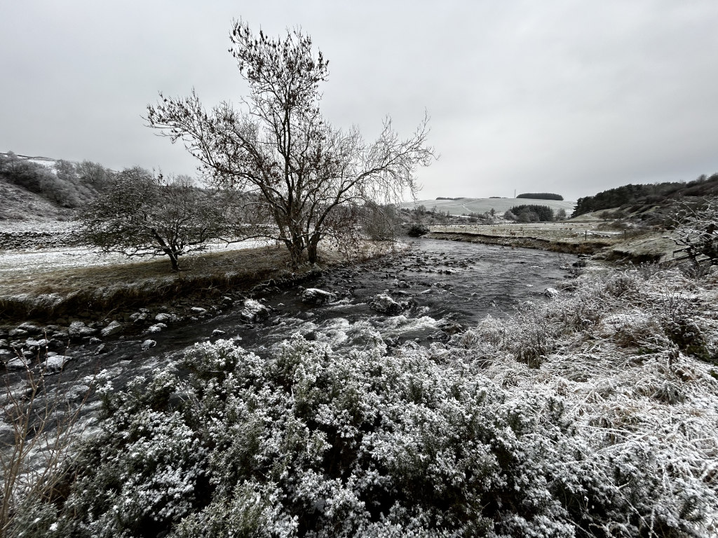 Serene winter landscape. A snow-dusted river flows through a valley, flanked by low-lying hills and vegetation coated in a light layer of snow. A prominent leafless tree stands near the riverbank, contrasting against the muted colours of the scene. The overall mood is peaceful and slightly melancholic, characteristic of a cold, overcast winter day.