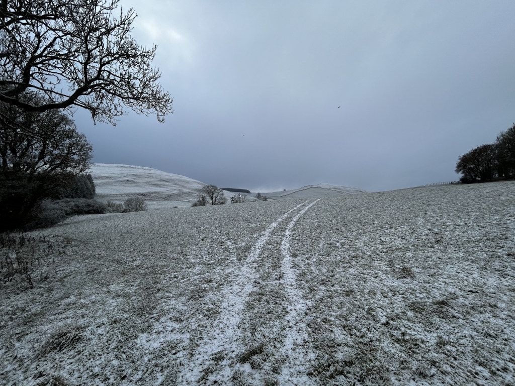 Gently sloping, snow-dusted field leading up to a pair of low hills under a muted, overcast sky. A faint, tire-tracked path winds its way up the field, towards the horizon. Bare, winter trees are visible in the foreground and to the right.