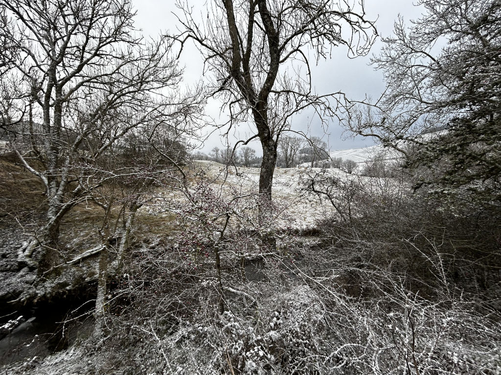 Snow-covered landscape viewed from an elevated perspective. The foreground shows leafless, snow-dusted bushes and trees. In the mid-ground, a small stream or creek is partially visible, leading the eye towards a gently sloping hillside covered in a thin layer of snow. Beyond the hillside, more bare trees and a muted sky complete the scene.
