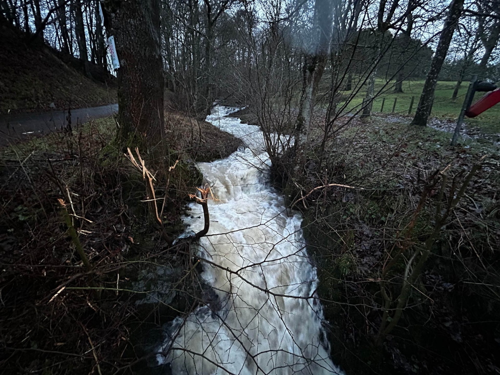 Small, fast-flowing stream or brook, its water appearing white and frothy due to its force. The stream is channeled through a narrow, rocky or earthen bank, heavily overgrown with leafless winter shrubs and small trees. A road and some trees are slightly visible in the background, suggesting a woodland or rural setting. The overall mood is one of quiet natural power, captured possibly in the late autumn or winter. There's a sense of movement in the water and a stillness in the surrounding vegetation. A broken branch is visible next to the water's edge.