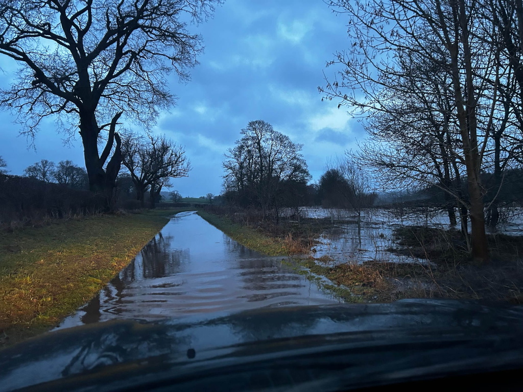 Flooded country lane at dusk or dawn. The water covers the road, reflecting the overcast sky. Bare, winter trees line the lane, their silhouettes stark against the muted sky. The overall impression is one of quiet, watery desolation. The view is from inside a vehicle, the windshield partially obscuring the bottom of the image.