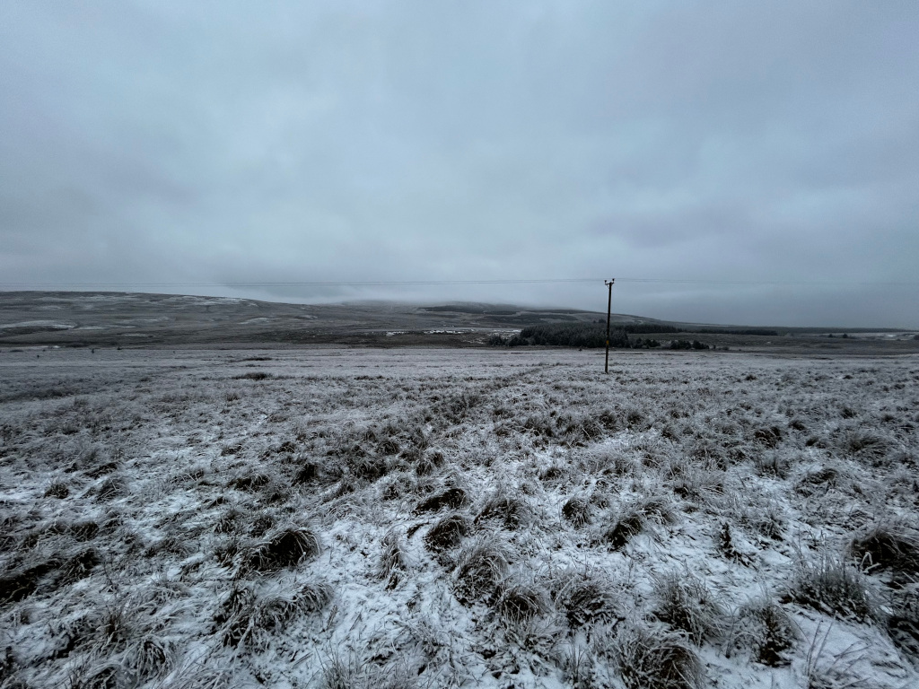 Desolate, snow-covered landscape under a grey, overcast sky. A single utility pole stands in the middle ground, emphasising the emptiness of the scene. The foreground is dominated by low-lying vegetation dusted with snow, extending to a gently rolling, snow-dusted hillside in the background. The overall mood is bleak and solitary.