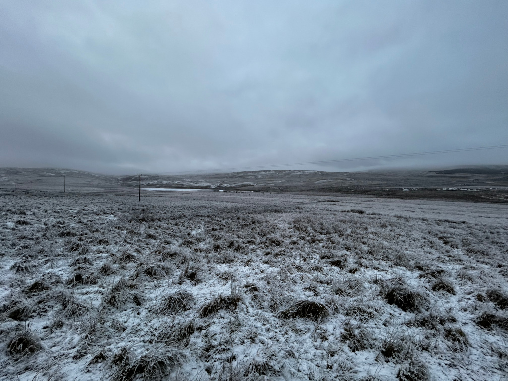 Bleak, snow-dusted landscape under a heavy, grey sky. The foreground is dominated by low-lying vegetation covered in a thin layer of snow. In the mid-ground, the land gently rolls into the distance, where a few power lines stretch across the scene. The overall impression is one of quiet solitude and a somewhat desolate, yet serene winter scene.