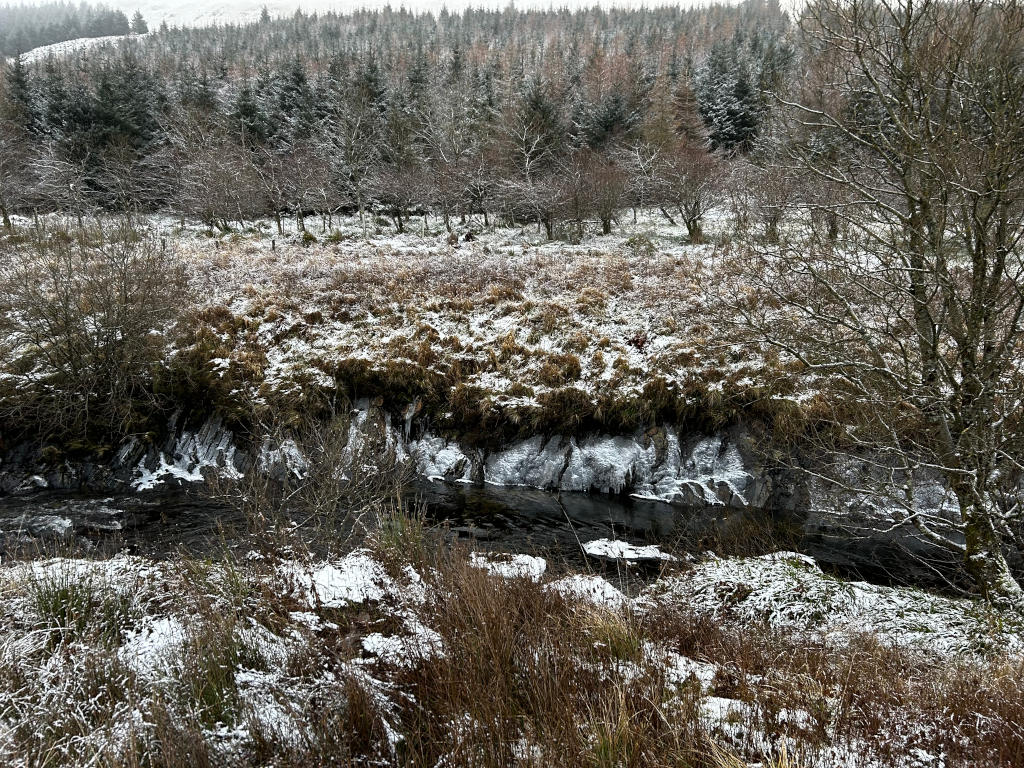 Snow-covered landscape. A small, dark river flows through the scene, its banks lined with vegetation dusted with a light layer of snow. Beyond the river, there's a field of low-lying, snow-dusted shrubs and grasses, and further in the background, a dense forest of evergreens covers a hillside, also lightly covered in snow. The overall impression is one of a quiet, cold, and somewhat secluded winter scene.