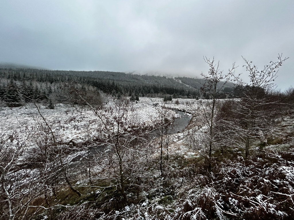 Serene winter landscape. A snow-dusted, meandering stream flows through a valley floor covered in a thin layer of snow. Bare, snow-laden trees and shrubs dominate the foreground and middle ground, framing the view of the stream and the distant snow-covered evergreen forest clinging to the hillsides beyond. The overall atmosphere is quiet, cold, and slightly misty under a muted, overcast sky. The scene evokes a sense of peaceful solitude in a wintry wilderness.