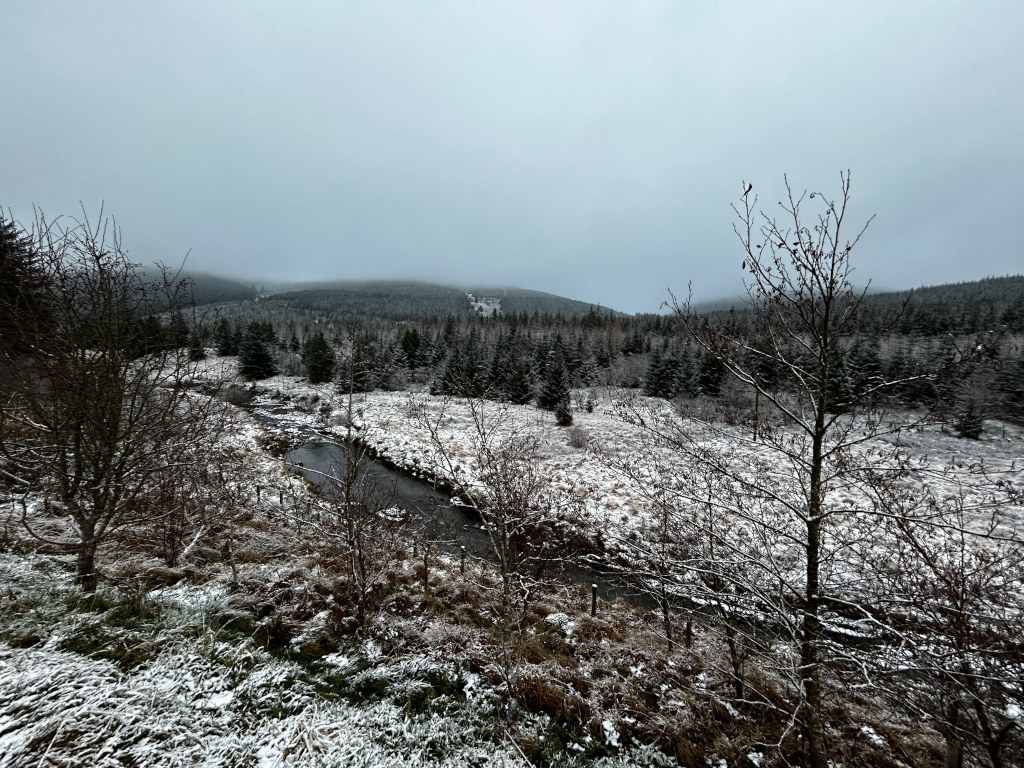 Snow-covered landscape with a meandering stream flowing through a valley. The valley is surrounded by coniferous forests on hillsides, under a muted, overcast sky. Bare, snow-dusted trees and shrubs are in the foreground, providing a contrast to the darker evergreen forest in the mid-ground. The overall mood is serene and wintry.