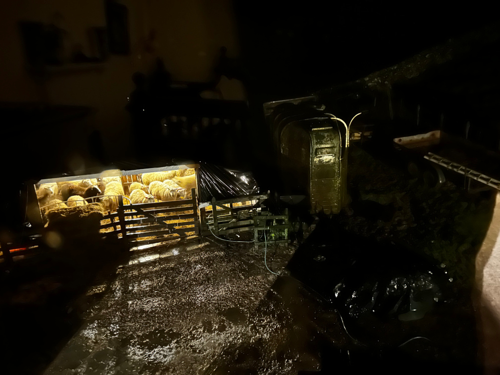Nighttime scene of a flock of sheep enclosed within a wooden pen. The pen is illuminated from within, casting a warm glow against the dark, wet surroundings. Other shadowy structures and what appears to be a muddy or wet ground are visible in the darker areas of the image. The overall impression is one of rural life at night, possibly during a period of inclement weather.