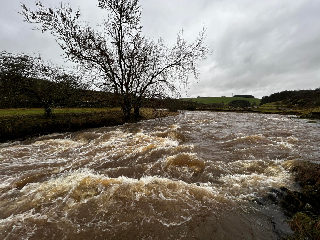 Wide, fast-flowing river in spate. The water is brown and muddy, indicating recent heavy rainfall. Bare winter trees stand on the banks, and in the distance, a flock of sheep can be seen on a relatively calm patch of land bordering the river. The overall mood is one of wild, powerful nature.