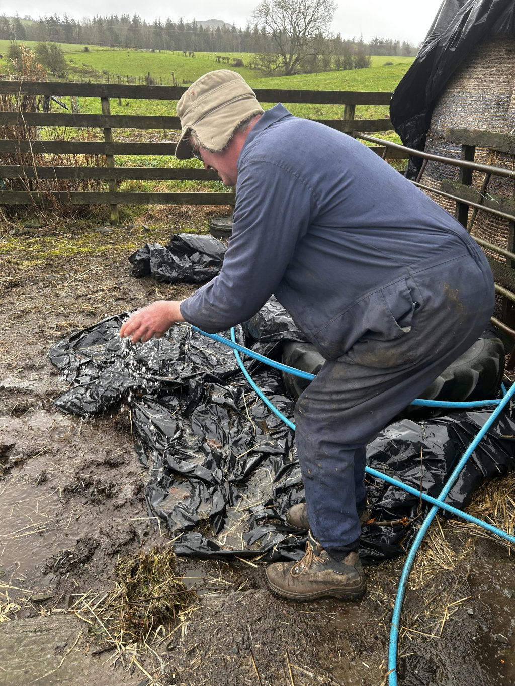 Charlie wearing a hat and blue overalls, hosing down a muddy area covered with black plastic sheeting. The setting appears to be a farmyard, with a wooden fence and hay bales visible in the background. The overall impression is one of routine farm work.
