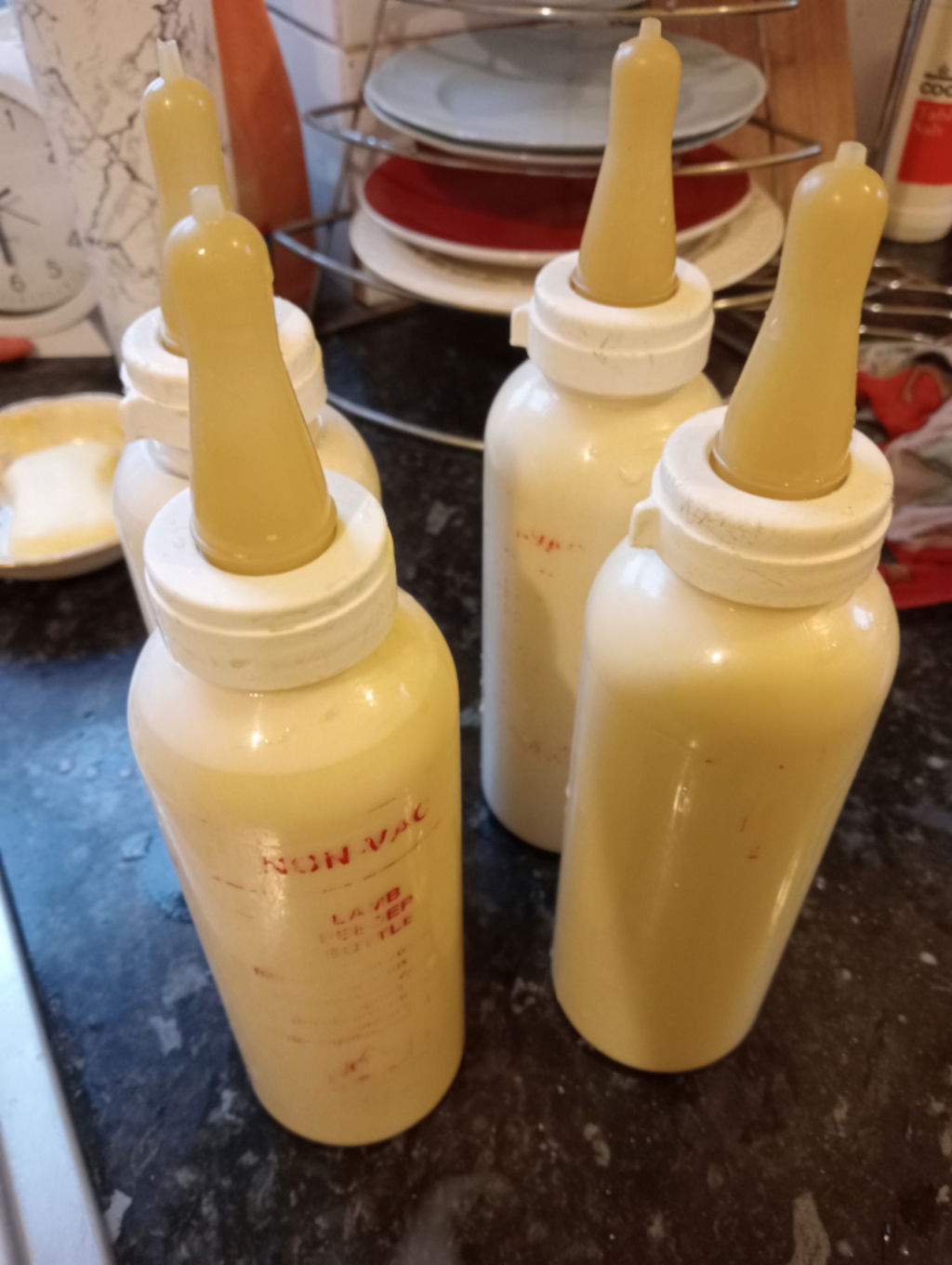 Four lamb feeding bottles filled with a pale yellow liquid, likely ewe formula. The bottles are labelled NON VAC and have nipple attachments. They sit on a dark counter top in a kitchen setting, with other kitchen items visible in the background. The overall impression is one of preparation for feeding a lamb.