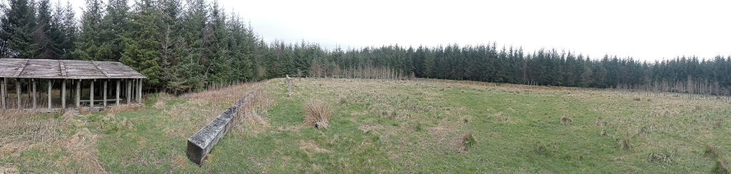Panoramic view of a grassy field or clearing, bordered by a dense coniferous forest. In the foreground, on the left side, is a dilapidated wooden structure that appears to be an open-sided shelter or lean-to with a weathered wooden roof. A long, dark gray object resembling a trough or large, weathered timber rests on the ground. The overall impression is one of a remote and somewhat desolate, yet tranquil, natural setting.