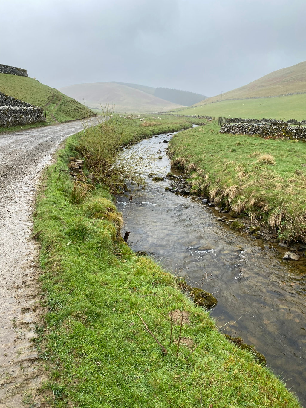 Tranquil scene of a stream meandering through a verdant valley under a grey sky. A dirt road runs parallel to the stream.  Stone walls and a scattering of sheep are visible in the distance, suggesting a rural, possibly pastoral setting. The overall mood is peaceful and somewhat melancholic due to the overcast weather.
