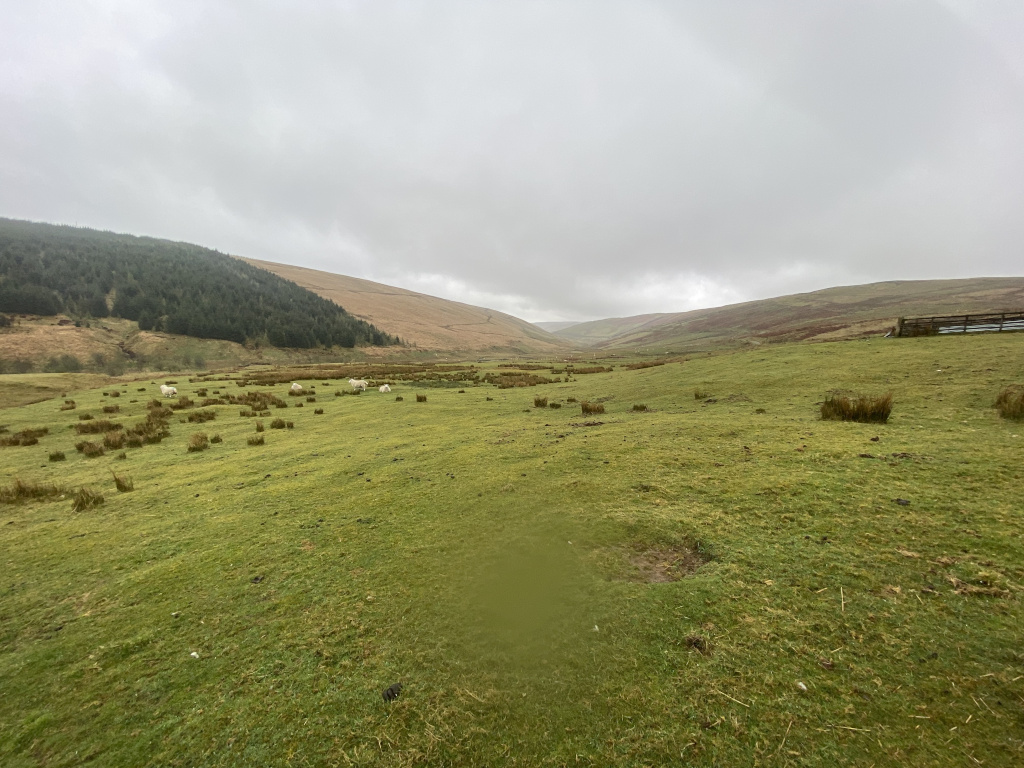 Wide, open valley under a cloudy sky. The foreground is a grassy field with a few sheep scattered about. In the mid-ground, the valley gently slopes upward to meet hills covered with sparse vegetation and a dark line of what appears to be a coniferous forest on the left.