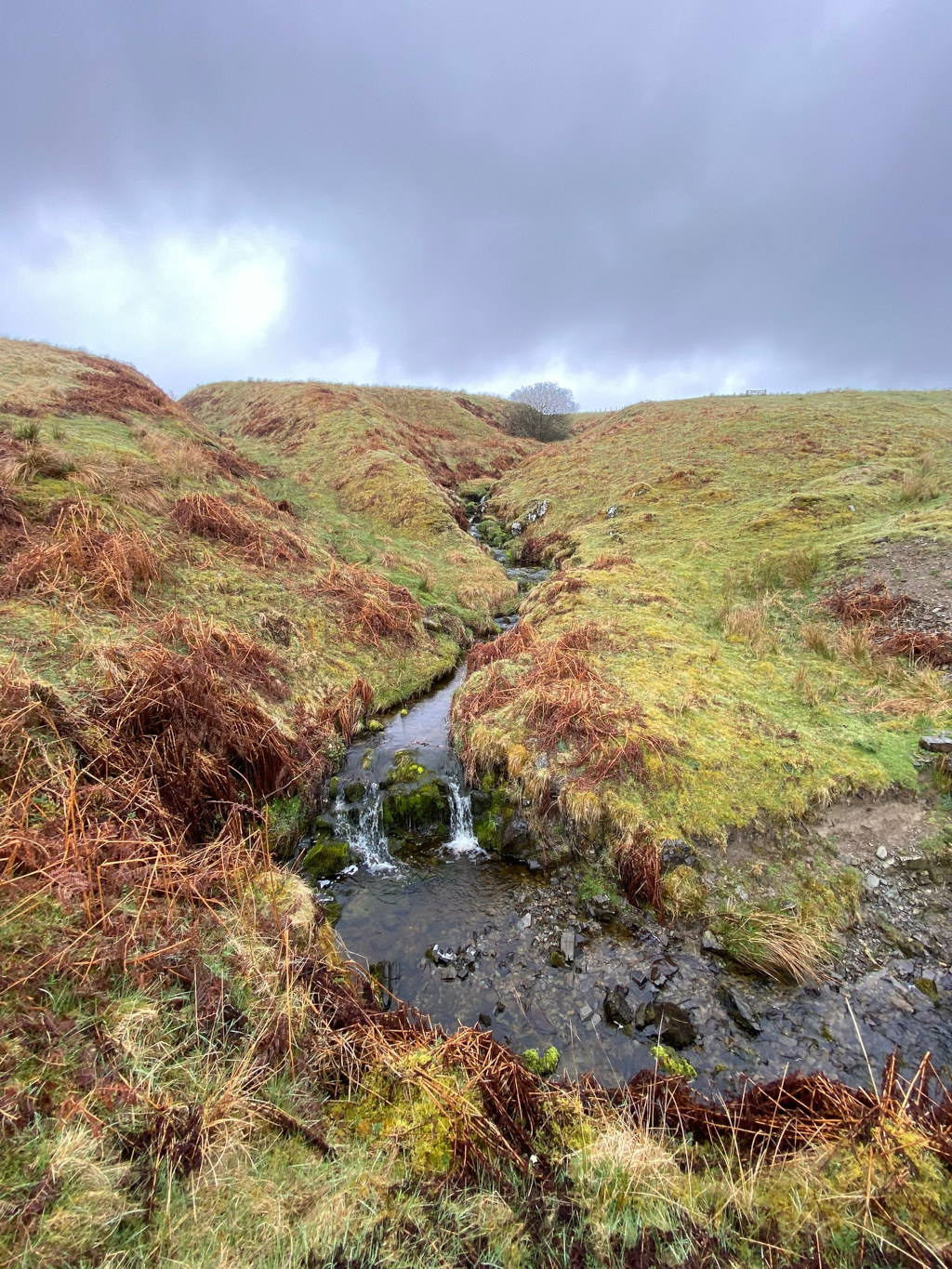 Small stream flowing down a grassy hillside under a cloudy sky. The stream has a small waterfall and the surrounding vegetation is a mix of grasses and what appears to be dried bracken or ferns.