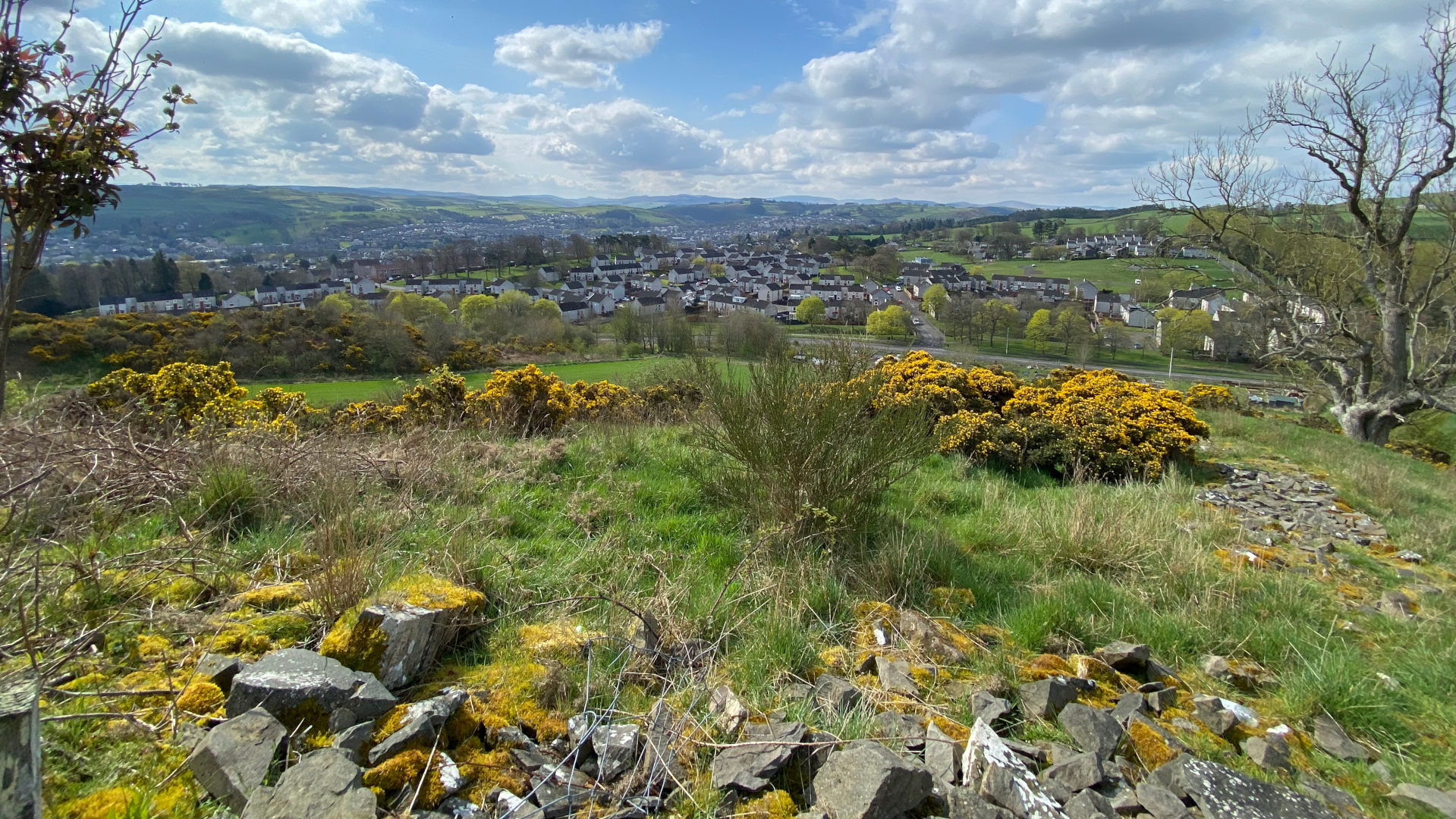 A panoramic view of a town nestled in a valley, seen from a slightly elevated vantage point. The foreground is characterised by grassy hills speckled with yellow flowering gorse bushes and scattered rocks, possibly remnants of a stone wall or structure. A leafless tree stands prominently to the right. The town in the mid-ground is composed of numerous houses and buildings, appearing relatively compact. Beyond the town, rolling hills stretch into the distance under a partly cloudy, bright blue sky. The overall impression is one of a pleasant, sunny day in a rural or semi-rural setting.