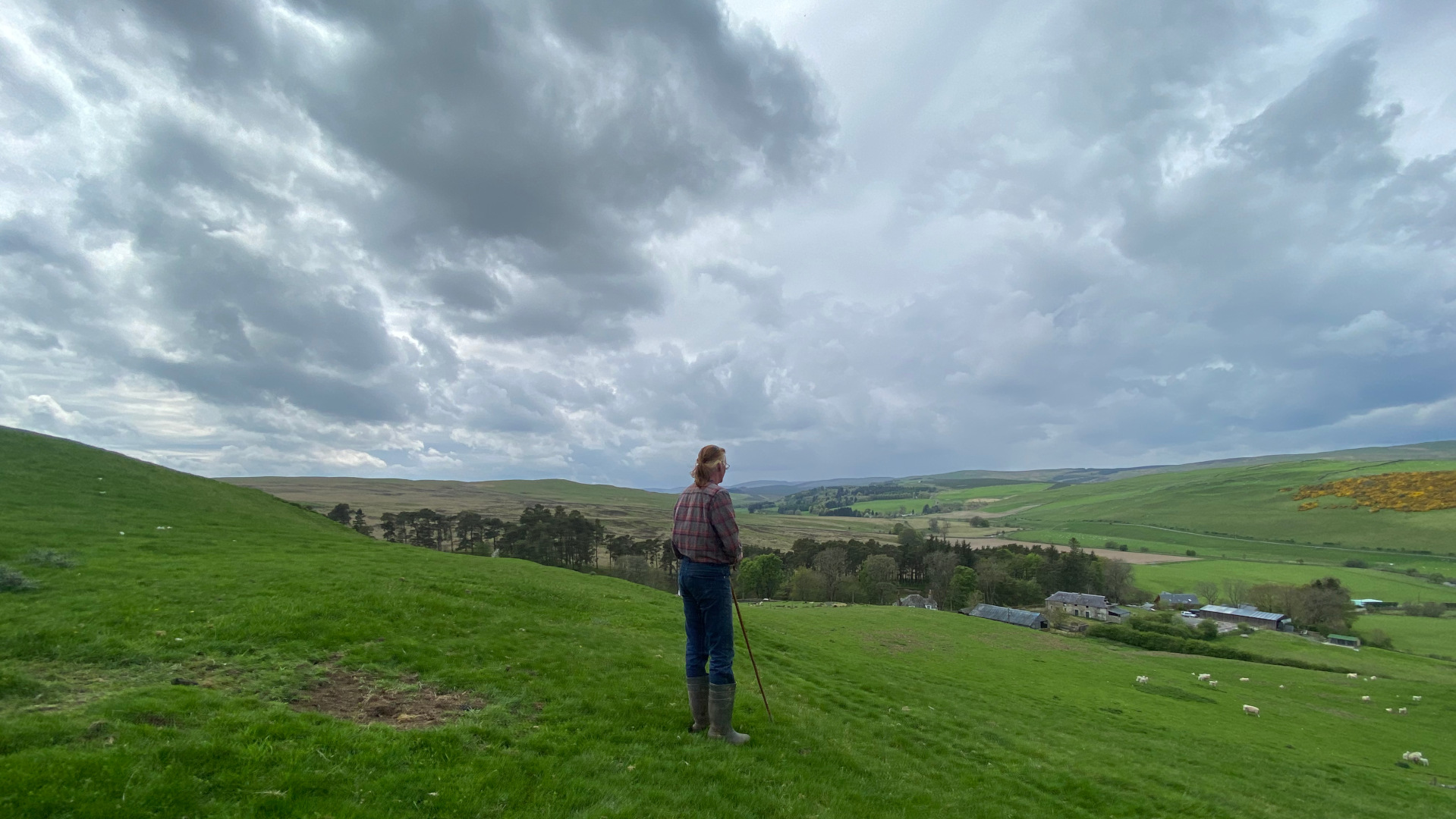 Charlie is standing on a grassy hillside, overlooking a valley with a farm and sheep. The sky is cloudy. Charlie is wearing a plaid shirt and jeans and holding a long stick. The overall mood is serene and pastoral.