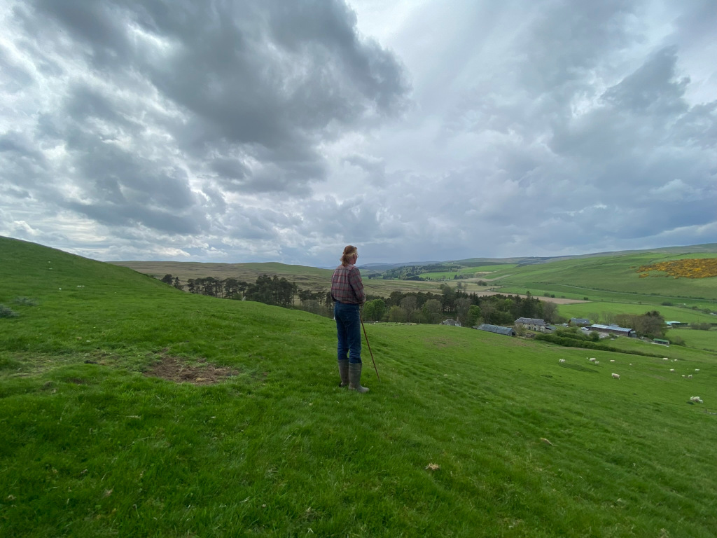 Charlie is standing on a grassy hillside, overlooking a valley with a farm and sheep. The sky is cloudy. Charlie is wearing a plaid shirt and jeans and holding a long stick. The overall mood is serene and pastoral.