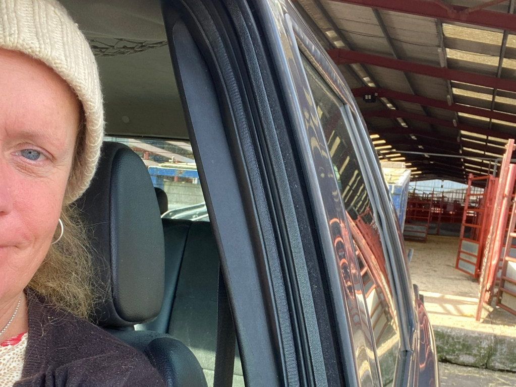Close-up selfie of a woman wearing a cream-coloured knit hat. She is sitting in the driver's seat of a car parked inside a large barn or livestock building. The background is blurred but shows what appears to be agricultural setting with livestock pens visible. The woman's expression is somewhat neutral, and the overall mood is contemplative or observational.