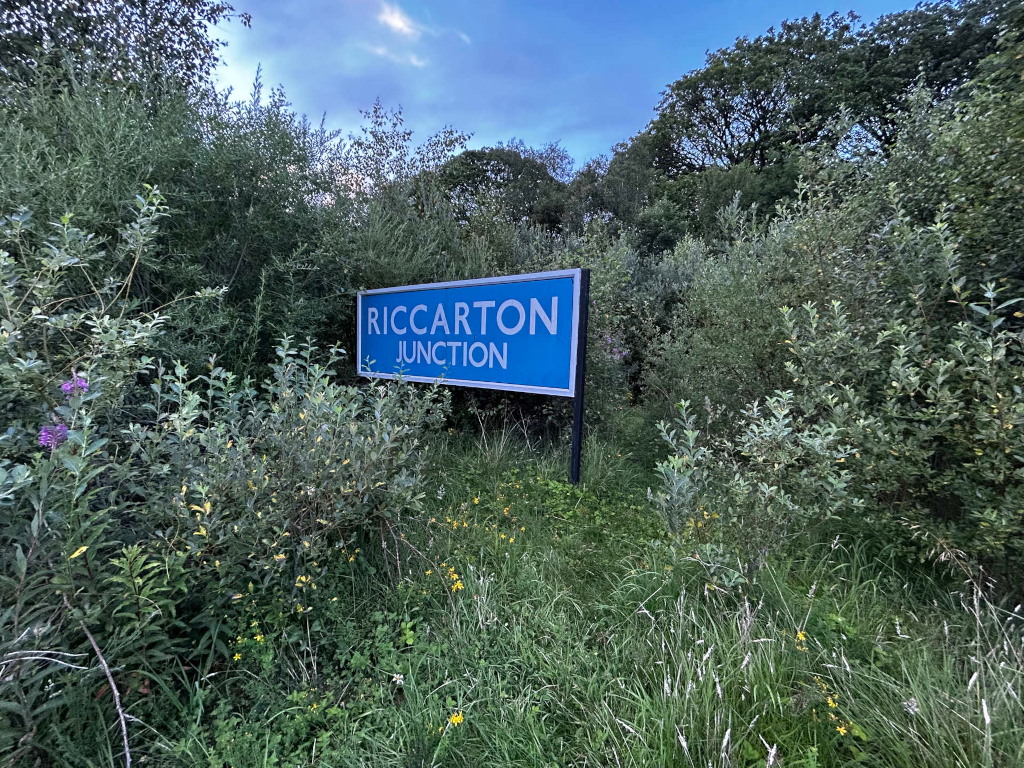 Blue sign that reads RICCARTON JUNCTION partially obscured by overgrown vegetation. The sign is set in a wild, unkempt area with tall grasses and various shrubs. The background suggests a rural or natural setting with trees visible in the distance under a partly cloudy sky. The overall impression is one of neglect or abandonment, as the sign appears to be in a forgotten location.