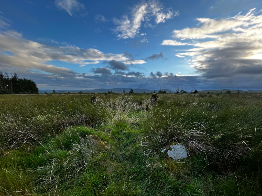 Grassy field or moorland under a partly cloudy sky. In the foreground, there are several partially visible, moss-covered stones, possibly remnants of a stone structure or alignment. In the background, a line of dark trees is visible against the horizon. The overall impression is one of a tranquil, somewhat remote, and perhaps historically significant landscape.