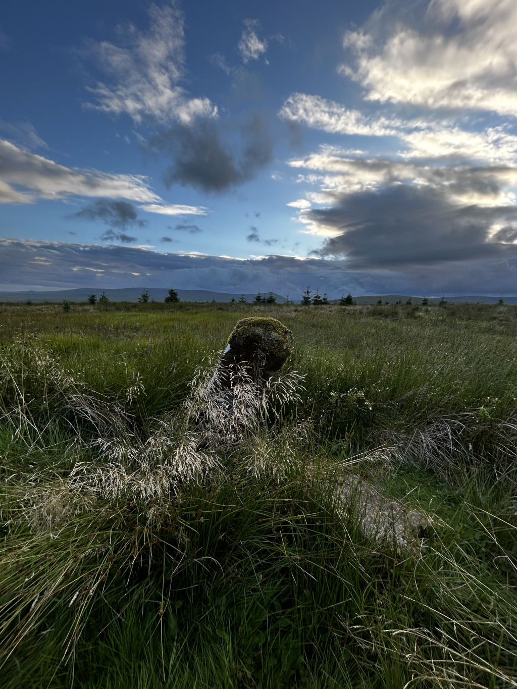 Mossy rock partially submerged in tall grass under a partly cloudy sky. The rock appears weathered and ancient, possibly suggesting a historical or natural landmark. The setting is a vast, open moorland or grassland, with a distant line of trees and hills visible on the horizon. The overall mood is serene and somewhat melancholic, with a sense of quietude and the passage of time.