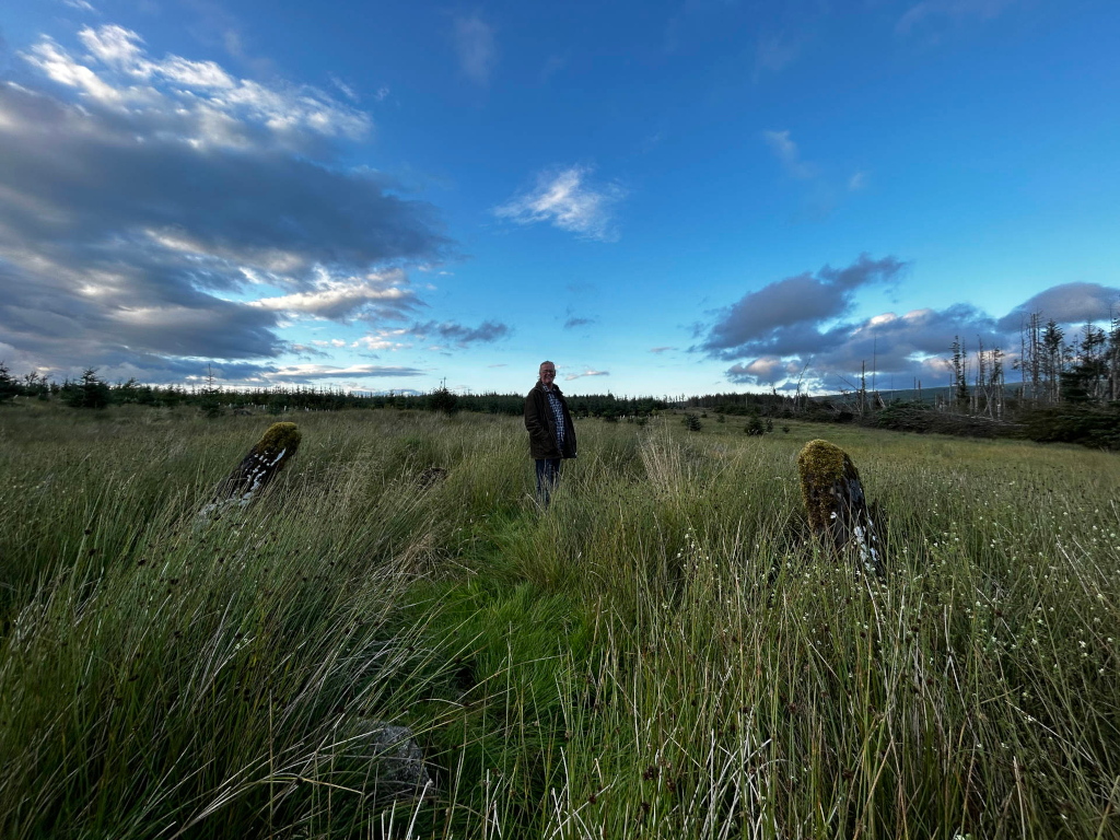 Charlie standing in a grassy field, which appears to be a moorland or similar habitat. Two moss-covered stones or posts are visible in the foreground, flanking a narrow path leading towards him. In the background, a line of trees and a mostly clear blue sky with some clouds are visible.