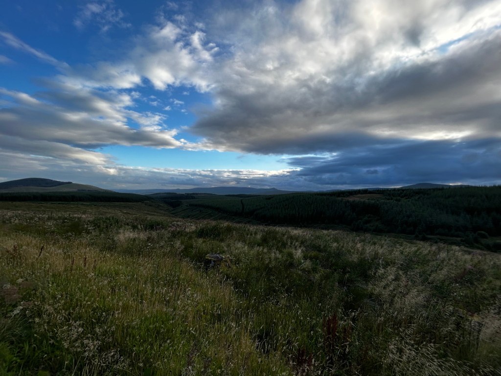 Landscape photograph of a vast, undulating field of tall grasses in the foreground. Beyond this, a valley stretches out, leading to a dark green forest covering rolling hills under a dramatic sky. The sky is a mixture of dark, brooding clouds and patches of bright blue, suggesting a potentially stormy yet beautiful atmosphere. The overall impression is one of serene, wild, and somewhat untamed nature.